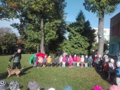 większy obrazek nr 7