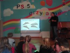 większy obrazek nr 8