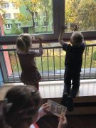 większy obrazek nr 11