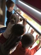 większy obrazek nr 15