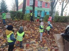 ilustracja do wpisu 
RATUJMY BIAŁOSTOCKIE KASZTANY- AKCJA EKOLOGICZNA