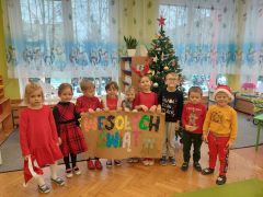 większy obrazek nr 8