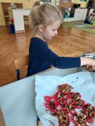 większy obrazek nr 7