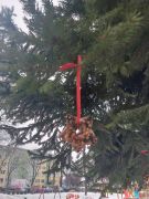 większy obrazek nr 11