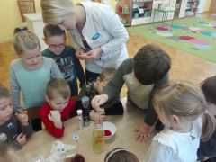 większy obrazek nr 8