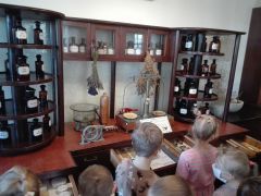 większy obrazek nr 9