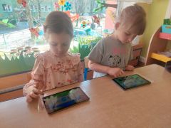 większy obrazek nr 2