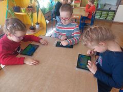 większy obrazek nr 8