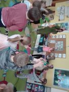 większy obrazek nr 15