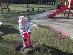 większy obrazek nr 3