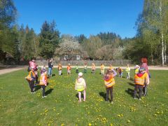 większy obrazek nr 2