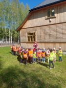 większy obrazek nr 3