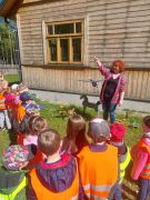 większy obrazek nr 4