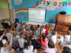 większy obrazek nr 17