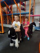 większy obrazek nr 6