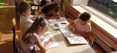 większy obrazek nr 8