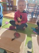 większy obrazek nr 2