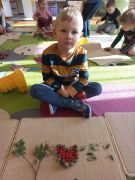 większy obrazek nr 10