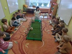 większy obrazek nr 1