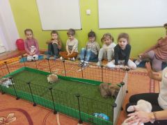 większy obrazek nr 3