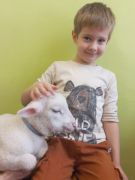 większy obrazek nr 15