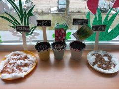 większy obrazek nr 23