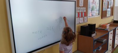 większy obrazek nr 3