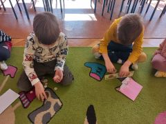 większy obrazek nr 9