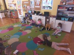 większy obrazek nr 11