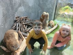 większy obrazek nr 26