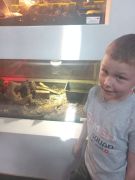 większy obrazek nr 33