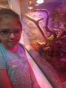 większy obrazek nr 37