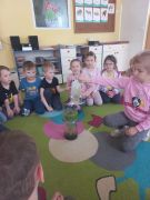 większy obrazek nr 2