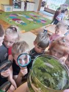 większy obrazek nr 5