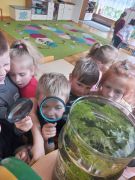 większy obrazek nr 6