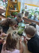 większy obrazek nr 8