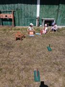 większy obrazek nr 5