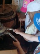 większy obrazek nr 7