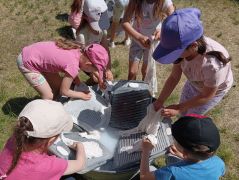 większy obrazek nr 14