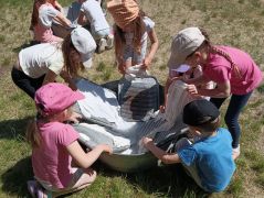 większy obrazek nr 15