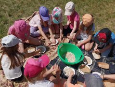 większy obrazek nr 17