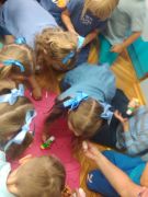 większy obrazek nr 2