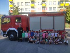 większy obrazek nr 2