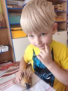 większy obrazek nr 9