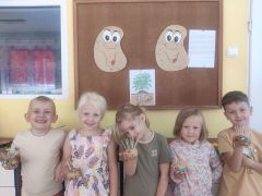 większy obrazek nr 13