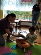 większy obrazek nr 3