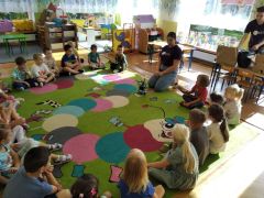 większy obrazek nr 7