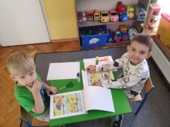 większy obrazek nr 5