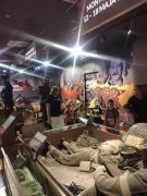 większy obrazek nr 12