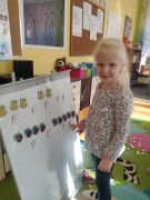 większy obrazek nr 9